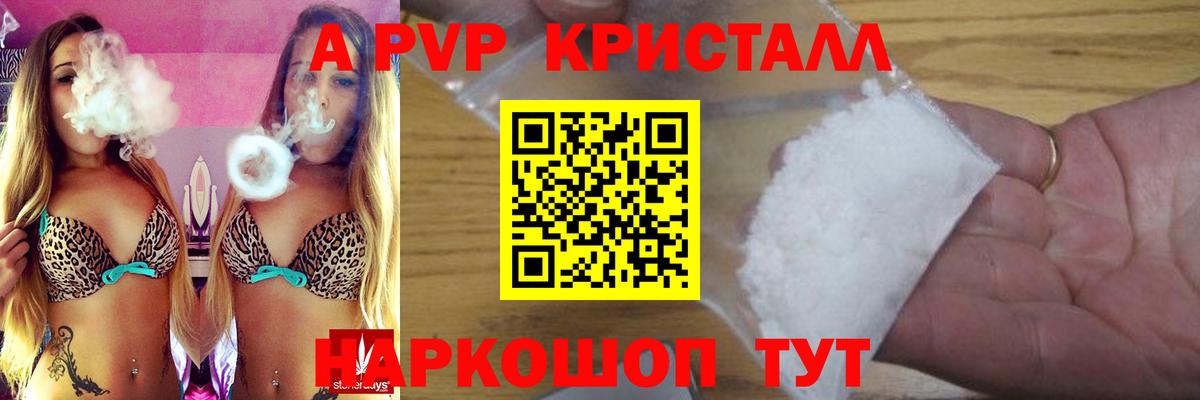 Alfa_PVP СК Маркс