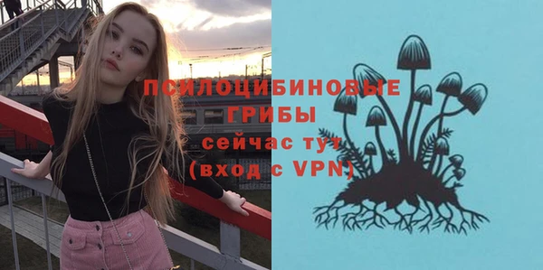 гидропоника Белоозёрский