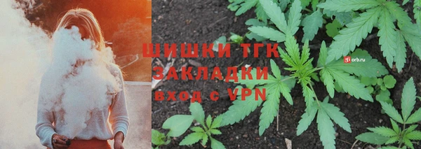 амф Богородицк
