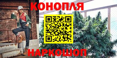 сатива Заводоуковск
