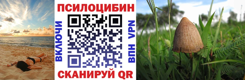 Псилоцибиновые грибы мухоморы  Маркс 