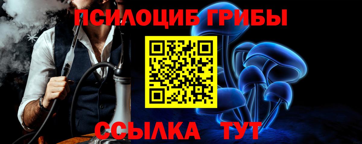 Псилоцибиновые грибы мицелий Маркс