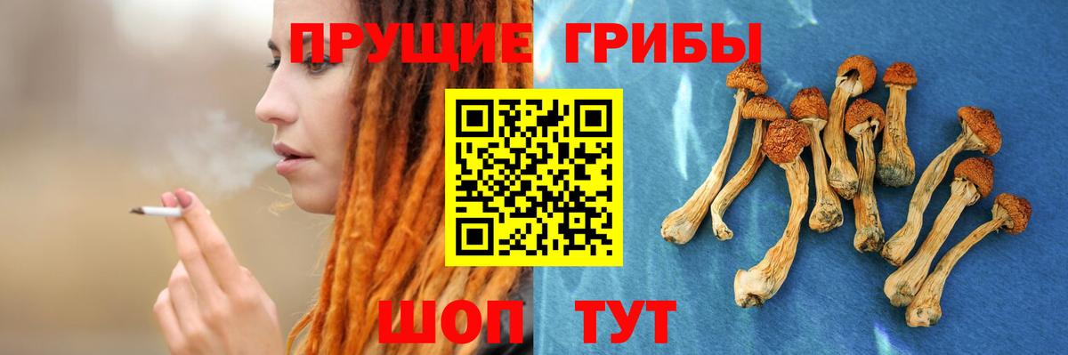 где купить наркотик  Вход с VPN  Псилоцибиновые грибы GOLDEN TEACHER  Маркс  Псилоцибиновые грибы ЛСД 