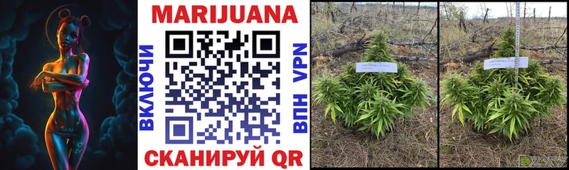 мега маркетплейс это Telegram Шишки марихуана OG Kush цена наркотик Маркс